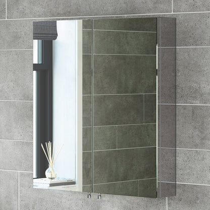 Delphi 670 x 600mm Stainless Steel Bathroom Mirror Cabinet Double Door