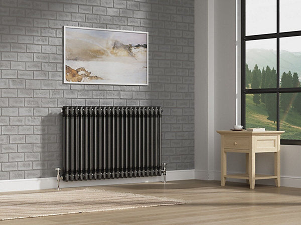 Helena MKII Raw Metal 2 Column Radiator - 5 Sizes