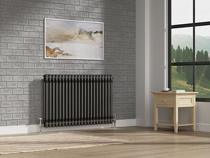 Helena MKII Raw Metal 2 Column Radiator - 5 Sizes